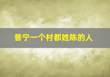 普宁一个村都姓陈的人