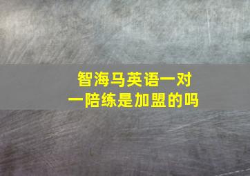 智海马英语一对一陪练是加盟的吗