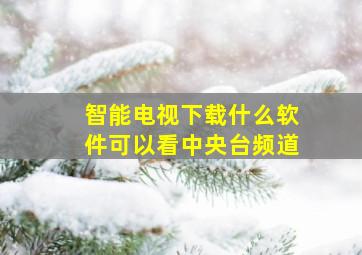 智能电视下载什么软件可以看中央台频道