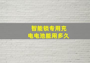 智能锁专用充电电池能用多久