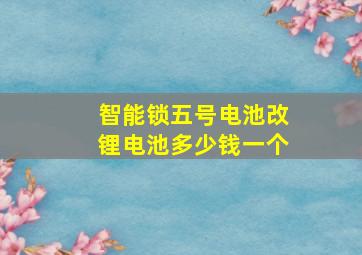 智能锁五号电池改锂电池多少钱一个