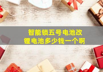 智能锁五号电池改锂电池多少钱一个啊