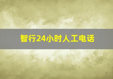 智行24小时人工电话