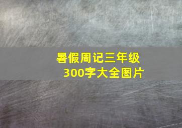 暑假周记三年级300字大全图片