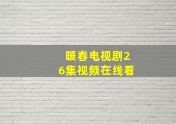 暖春电视剧26集视频在线看