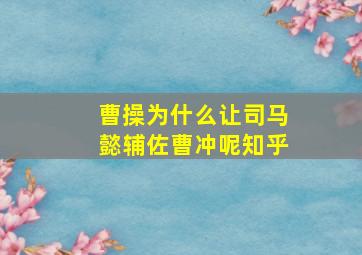 曹操为什么让司马懿辅佐曹冲呢知乎