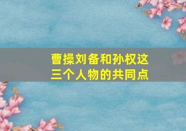 曹操刘备和孙权这三个人物的共同点