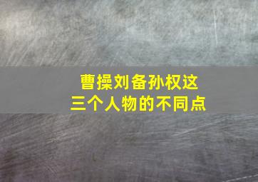 曹操刘备孙权这三个人物的不同点