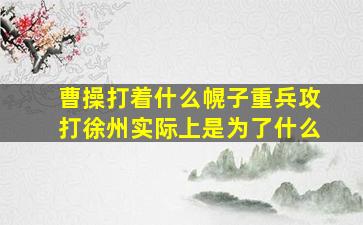 曹操打着什么幌子重兵攻打徐州实际上是为了什么