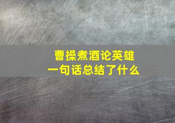 曹操煮酒论英雄一句话总结了什么