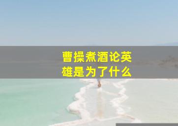 曹操煮酒论英雄是为了什么