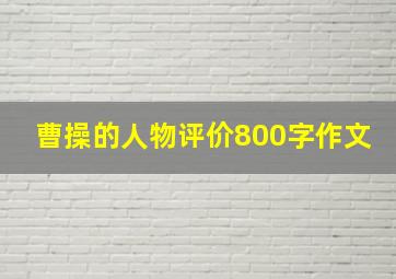 曹操的人物评价800字作文