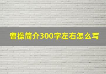 曹操简介300字左右怎么写