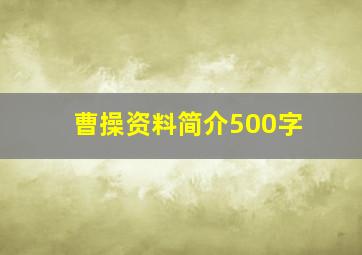 曹操资料简介500字