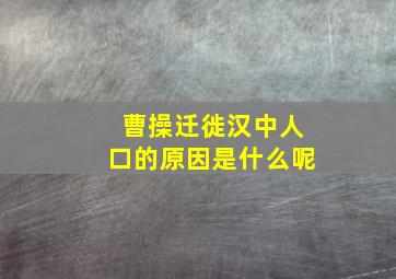 曹操迁徙汉中人口的原因是什么呢