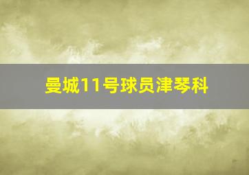 曼城11号球员津琴科