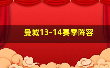 曼城13-14赛季阵容