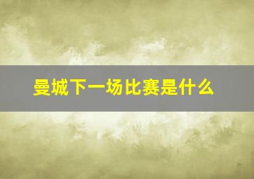 曼城下一场比赛是什么