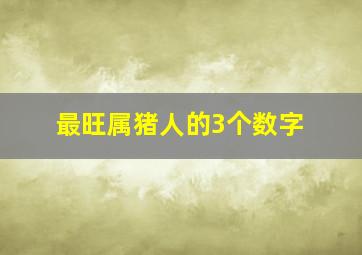 最旺属猪人的3个数字