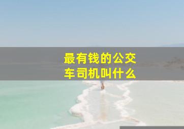 最有钱的公交车司机叫什么