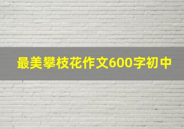 最美攀枝花作文600字初中