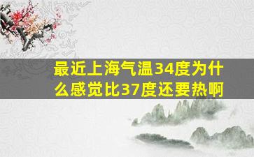 最近上海气温34度为什么感觉比37度还要热啊