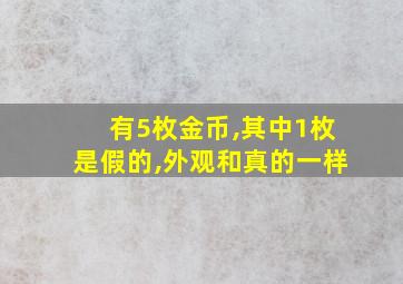 有5枚金币,其中1枚是假的,外观和真的一样