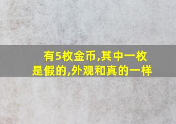 有5枚金币,其中一枚是假的,外观和真的一样