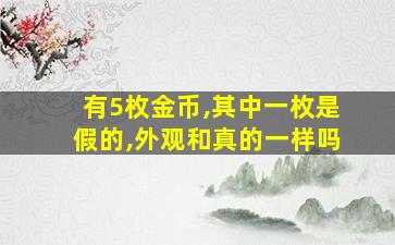 有5枚金币,其中一枚是假的,外观和真的一样吗