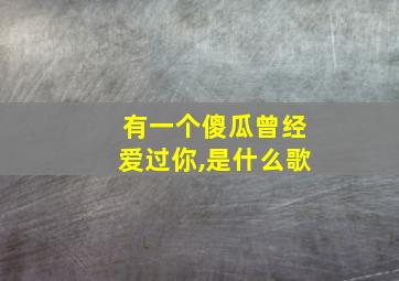 有一个傻瓜曾经爱过你,是什么歌