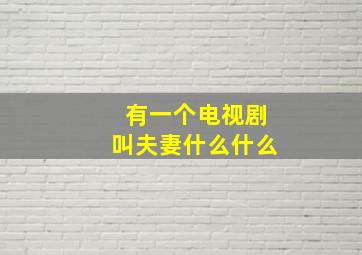 有一个电视剧叫夫妻什么什么