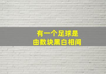 有一个足球是由数块黑白相间