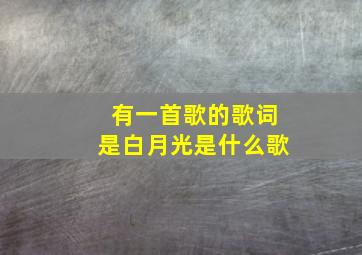 有一首歌的歌词是白月光是什么歌