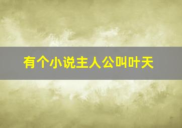 有个小说主人公叫叶天