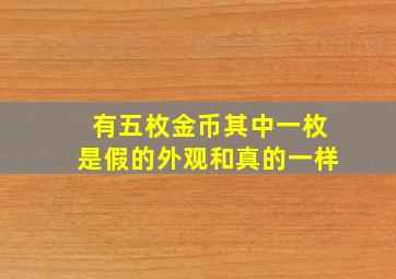 有五枚金币其中一枚是假的外观和真的一样