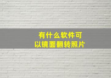 有什么软件可以镜面翻转照片