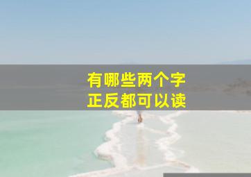 有哪些两个字正反都可以读