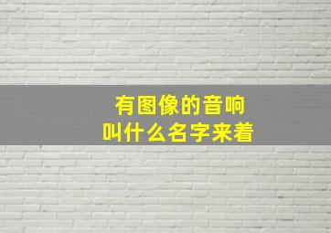 有图像的音响叫什么名字来着