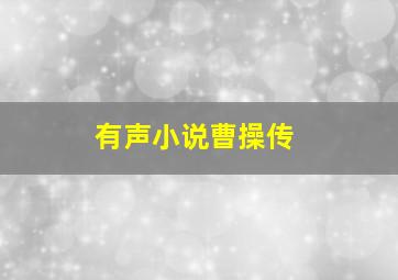 有声小说曹操传