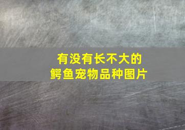 有没有长不大的鳄鱼宠物品种图片