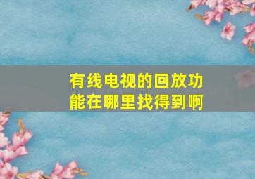 有线电视的回放功能在哪里找得到啊