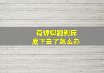 有蟑螂跑到床底下去了怎么办