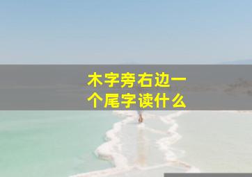 木字旁右边一个尾字读什么