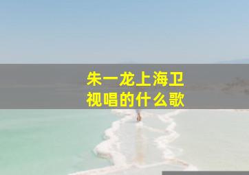 朱一龙上海卫视唱的什么歌