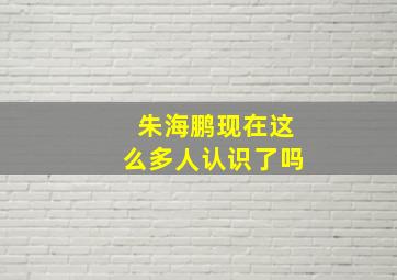 朱海鹏现在这么多人认识了吗