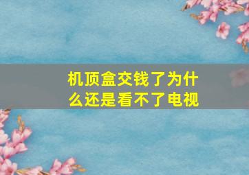 机顶盒交钱了为什么还是看不了电视