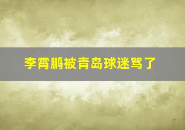 李霄鹏被青岛球迷骂了