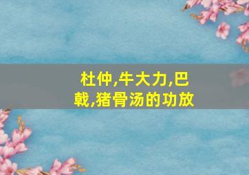 杜仲,牛大力,巴戟,猪骨汤的功放