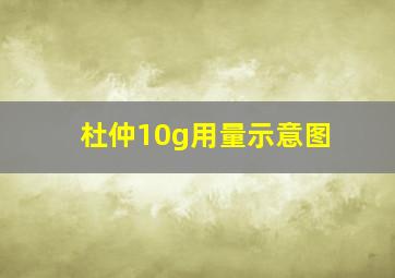 杜仲10g用量示意图