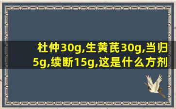 杜仲30g,生黄芪30g,当归5g,续断15g,这是什么方剂